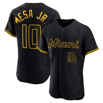 Black Authentic Victor Mesa Jr. Men's Miami Marlins Snake Skin City Jersey