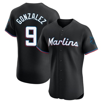 Black Elite Erik Gonzalez Men's Miami Marlins Alternate Vapor Premier Jersey