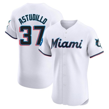 White Elite Willians Astudillo Men's Miami Marlins Home Patch Jersey